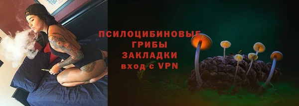 амф Богданович