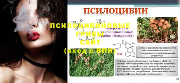 эйфоретик Богородск