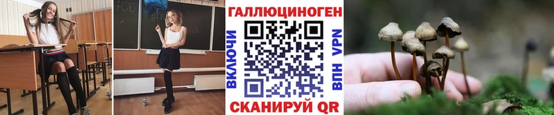 что такое Среднеуральск Галлюциногенные грибы мухоморы