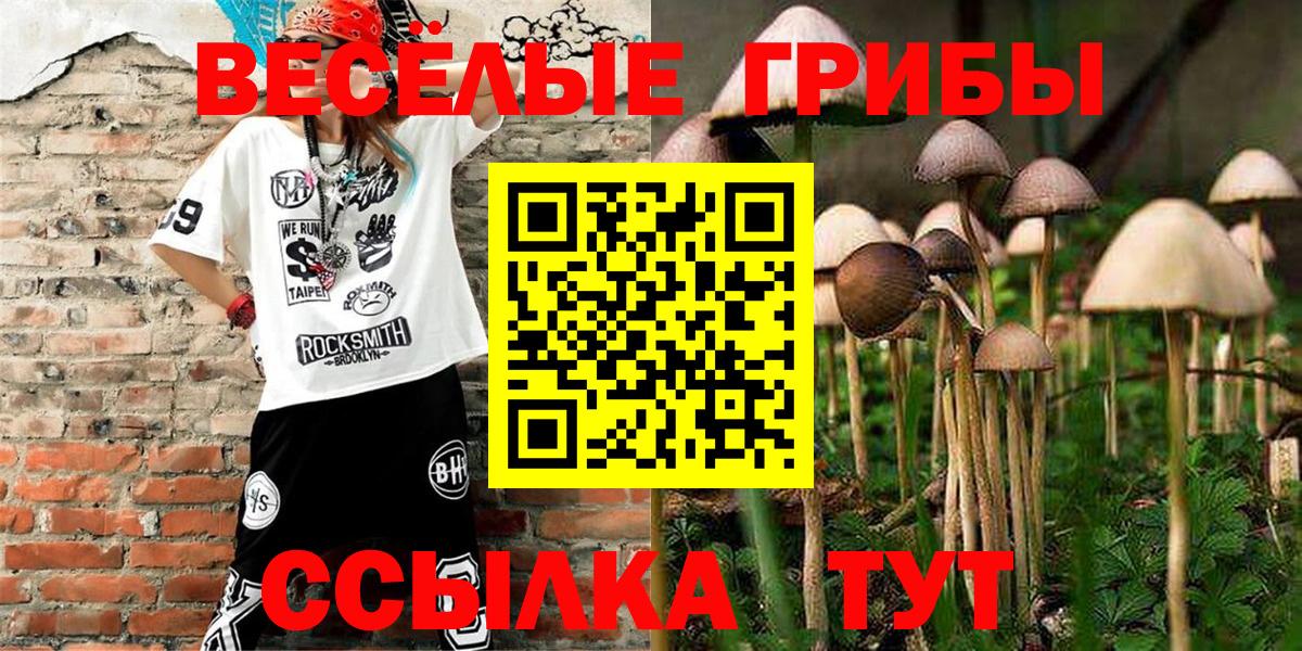 Псилоцибиновые грибы MAGIC MUSHROOMS  дарнет шоп  Среднеуральск  Псилоцибиновые грибы мухоморы  Вход с VPN 